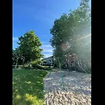 Joy At